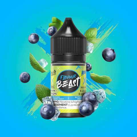 Blessed Blueberry Mint Iced by Flavour Beast - Salt 30ml (Copy) - E-Cigz Vape Shop