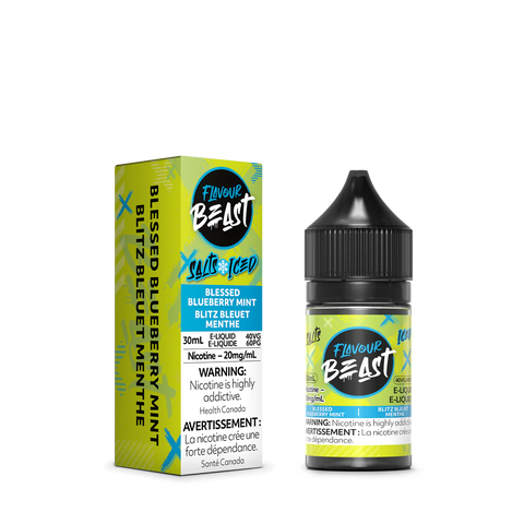 Blessed Blueberry Mint Iced by Flavour Beast salt - 30ml