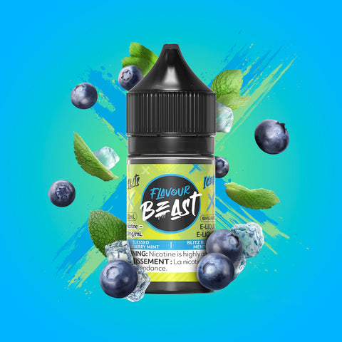 Blessed Blueberry Mint Iced by Flavour Beast salt - 30ml