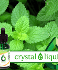 DIY Flavour Concentrate - Peppermint Passion 30ml - E-Cigz Vape Shop