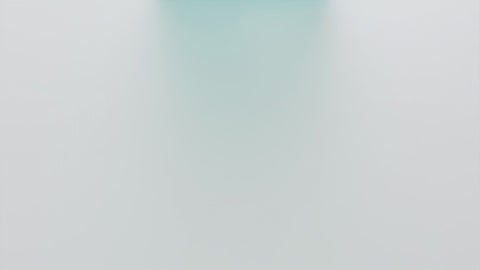 VICE Box2 30ML Disposable - COCONUT BLUEBERRY ICE